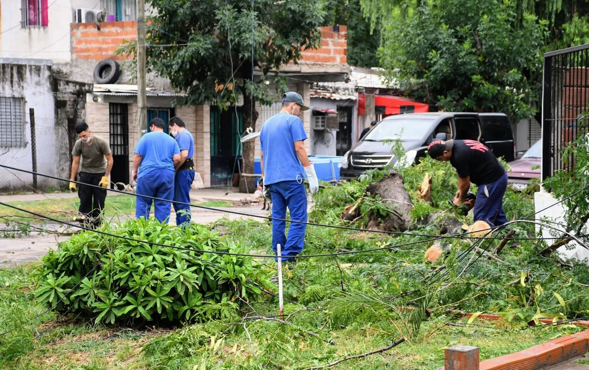 Hay más de 75 árboles caídos en Rosario